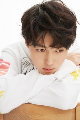 Liu Yin Jun
