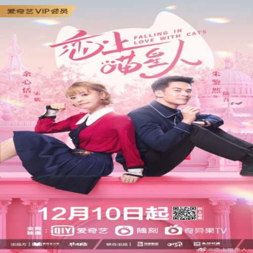 Falling In Love With Cats ح24 الاخيرة مسلسل الوقوع في حب القطط الحلقة 24 الاخيرة مترجمة
